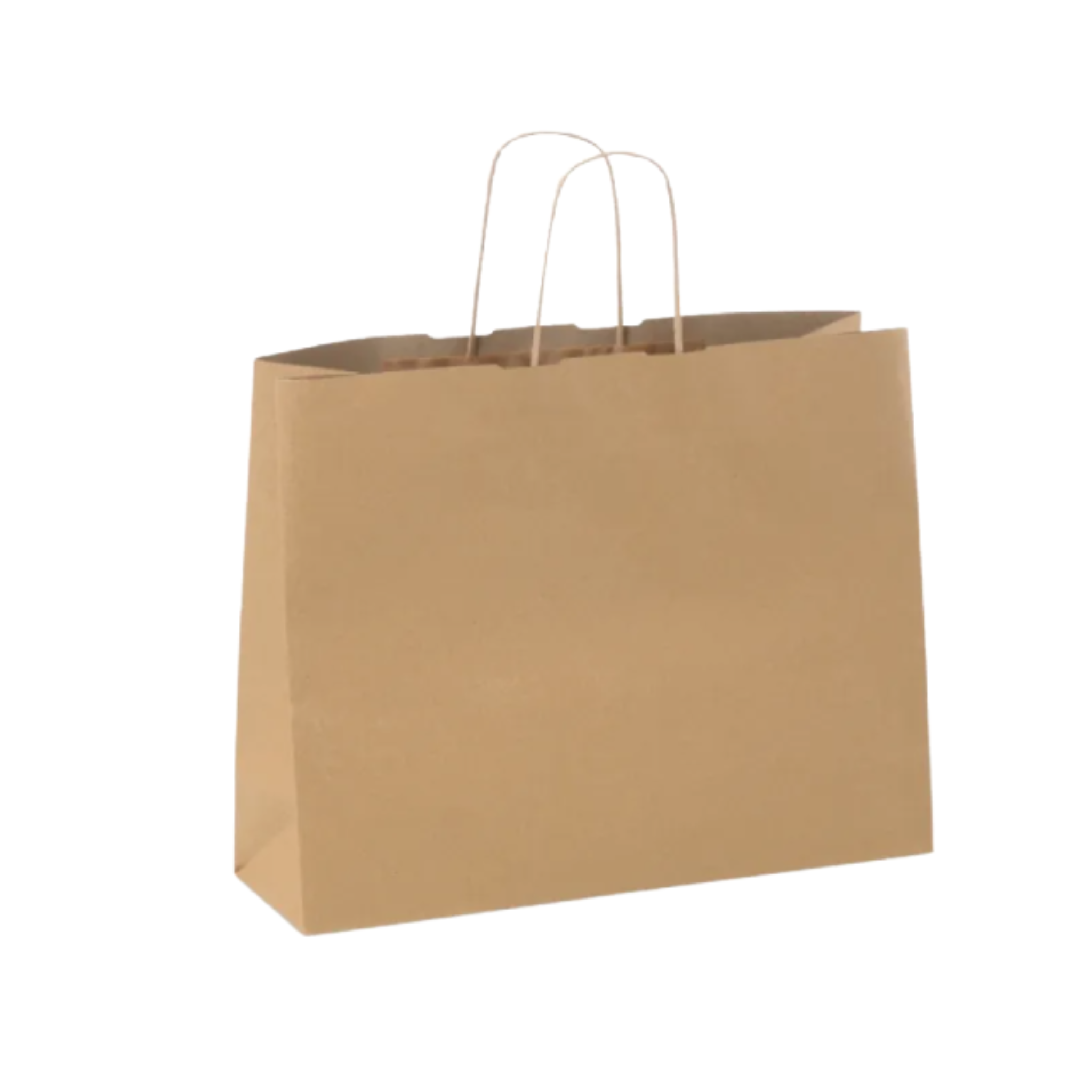 BOLSA DE PAPAEL GRANDE CON ACABADO NATURAL