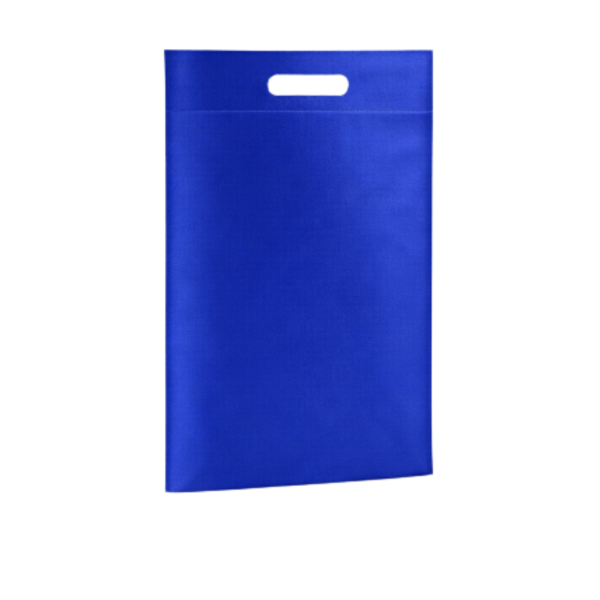 BOLSA PEQUEÑA DE MATERIAL RECICLABLE